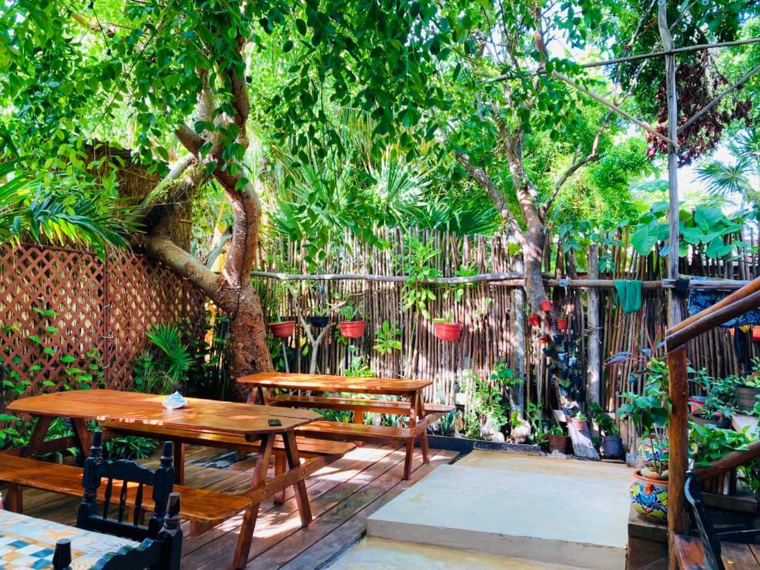 Hostal Holbox Eksteriør billede