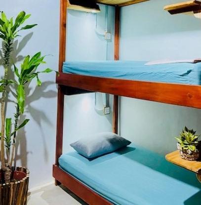 Hostal Holbox Eksteriør billede